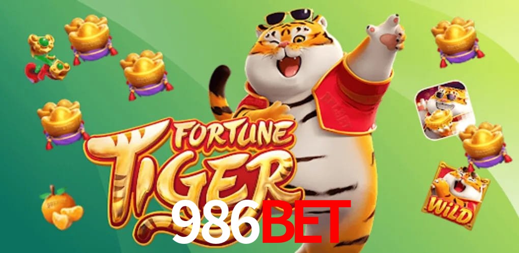 Experiência VIP 986bet